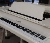PianoDisc PD62IVP