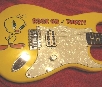 Fender Tom Delonge Deluxe Series