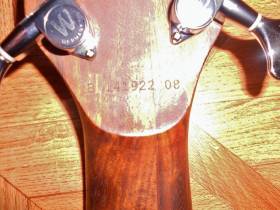 WARWICK Corvette bubinga