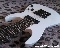 Ibanez RG8 + EMG 808 24Volt!