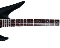 Schecter  Schecter