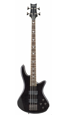 Schecter  Schecter