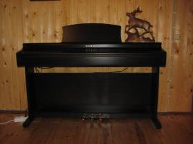 Kawai CN23R