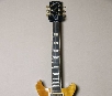 Gibson Les Paul Standard  DC