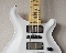 Paul Reed Smith PRS Swamp Ash Special Birds