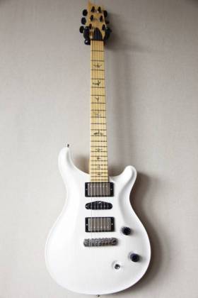 Paul Reed Smith PRS Swamp Ash Special Birds