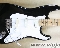 Fender Eric Clapton Artist Series Strat