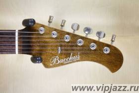Bacchus G-Player Stratocaster