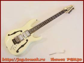 Ibanez PGM30