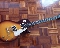 Epiphone LP 100