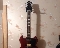 Burny SG 61 Reissue