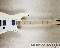 Fender Jim Root Stratocaster