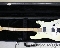 Fender Jim Root Stratocaster