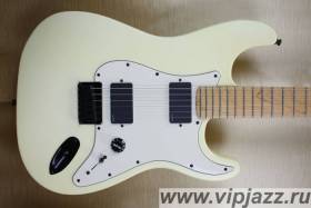 Fender Jim Root Stratocaster