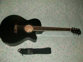 Washburn EA16