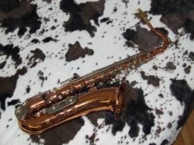 Evette Schaeffer Master Model