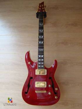 Schecter  C-1 Custom