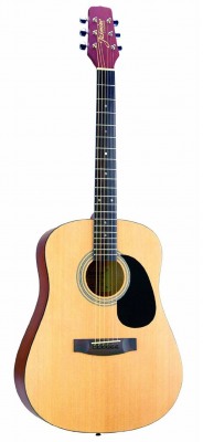 Takamine S35
