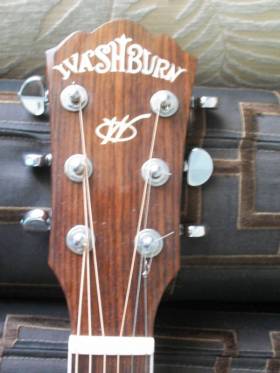 Washburn D33S