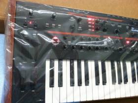 Dave Smith Instruments Prophet 12 module