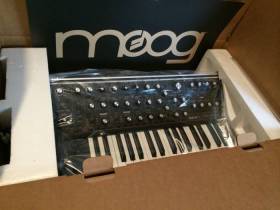 Moog Music Sub 37 Tribute Edition Paraphonic Analog