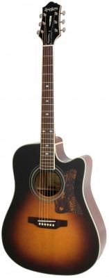 Epiphone MASTERBIRD DR-500