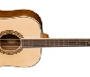 Washburn WD10NS
