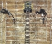 Gibson SG Tribute Robot Tuners+ Dirty Fingers