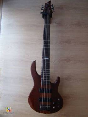 ESP LTD D-6