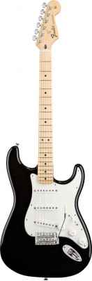 Fender Standart Stratocaster