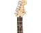 Fender Standard Stratocaster