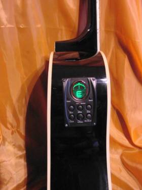 Электроакустика 12-ти струнная