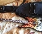 LTD by ESP Screaming Skull