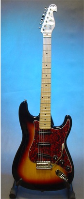 Bill Lawrence SwampKaster S