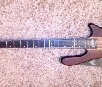 Washburn t24
