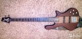 Washburn t24