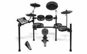 Alesis DM10 Pro Kit Electronic Drum Set