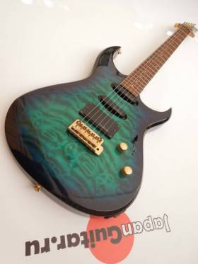 Fernandes FGZ 420
