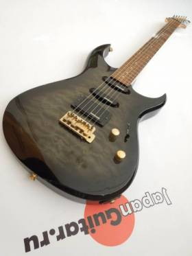 Fernandes FGZ 420