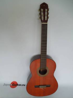 Yamaha G - 120A