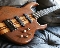 Carvin LB-70 Koa