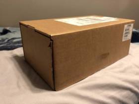 Taylor Solid Body Standard