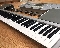 Korg Клавиатура для Korg M3 - 73 клавиши ( Made in Japan )