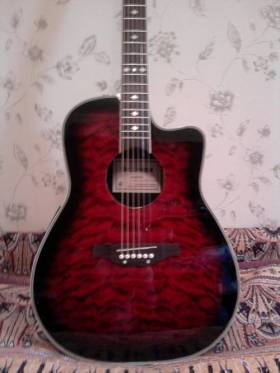 Электроакустика BRAHNER BG-645