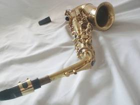 Trevor J.James Revolution