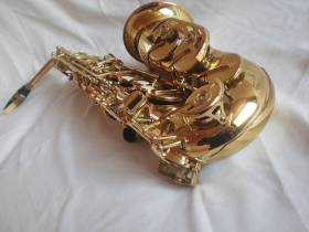 Trevor J.James Revolution