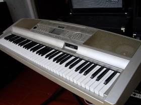 Yamaha dgx-300