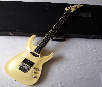 ESP Horizon Custom