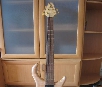 ALEMBIC Excel