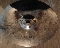 Sabian AAX Stage